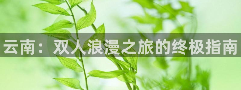 云顶集团3118在线客服