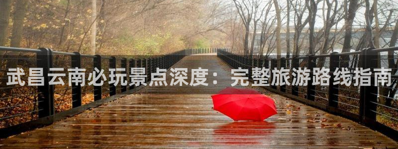 yd12300云顶线路|武昌云南必玩景点深度：完整旅游路线指南