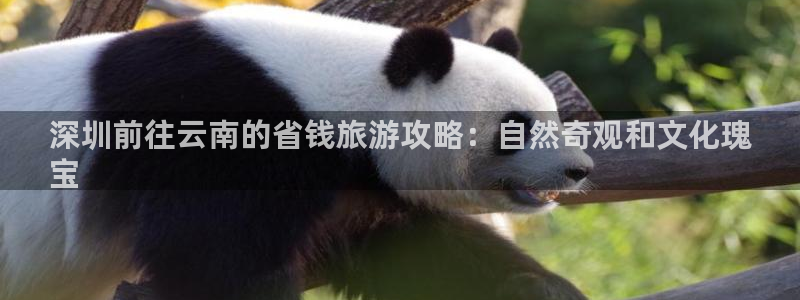 云顶yd2223线路检测|深圳前往云南的省钱旅游攻略：自然奇观和文化瑰
宝