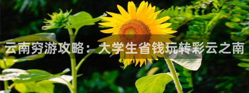 云顶集团7610官方网站|云南穷游攻略：大学生省钱玩转彩云之南