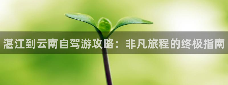 云顶集团