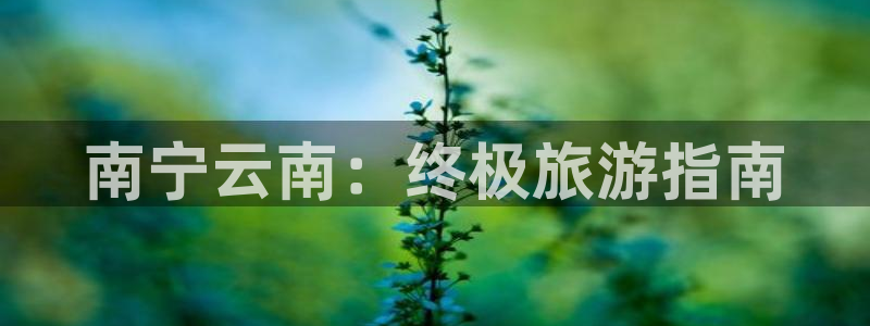 云顶yd2223线路检测